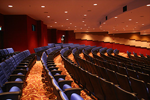 Side view of the seat lighting in the Malaysian airlines auditorium 